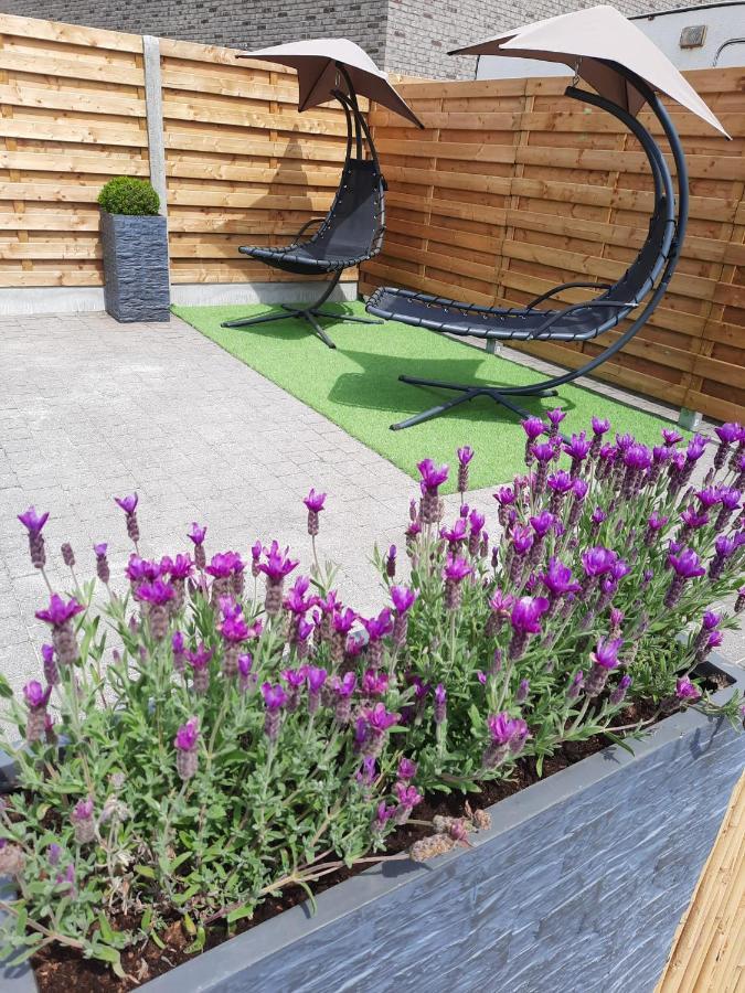 Guesthouse 66 Lommel Exteriér fotografie